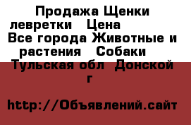 Продажа Щенки левретки › Цена ­ 40 000 - Все города Животные и растения » Собаки   . Тульская обл.,Донской г.